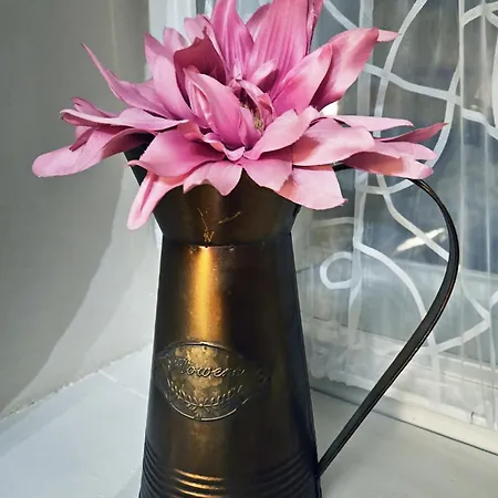 Bohem Centrum 게스트하우스 체스키크룸로프