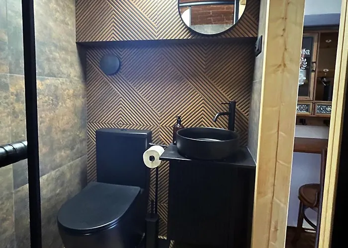 Bohem Centrum 招待所 3*