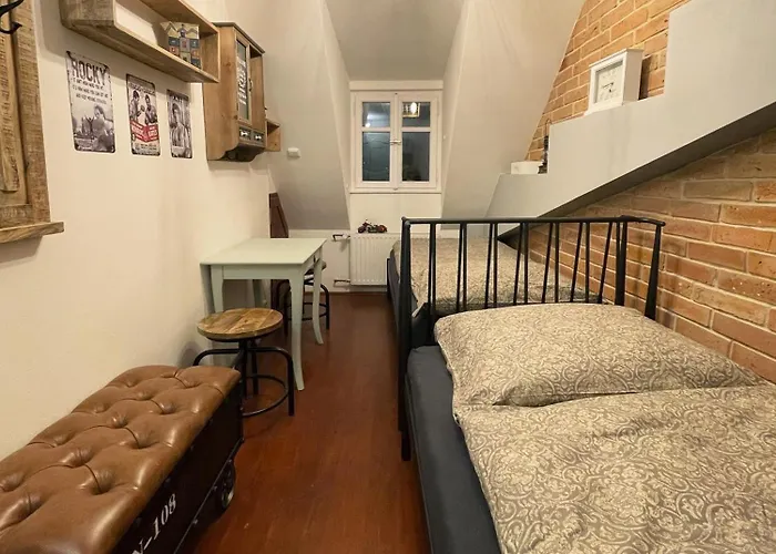 Bohem Centrum 招待所 3*