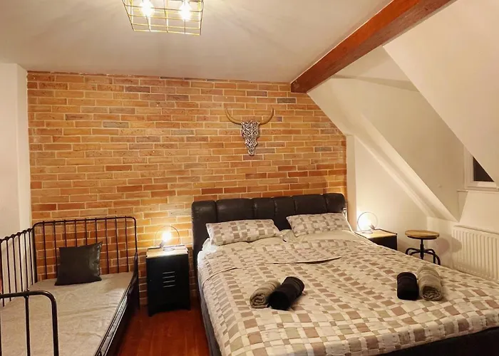 Bohem Centrum 招待所 3*